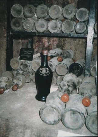 Фото института винограда и вина "Магарач" в Ялте